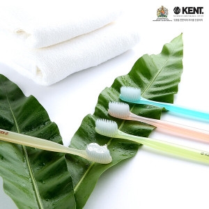 ��Ʈ Ŭ���� �ʱؼ��� ĩ��