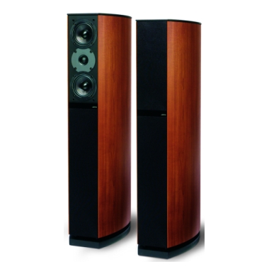 �߸� Concert D5 D570