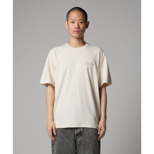 디키즈 컴패니언 스크립트 티셔츠 Whitecap Gray 296241