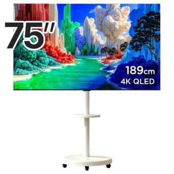 <b>TCL</b> 75A400 이동형 패키지