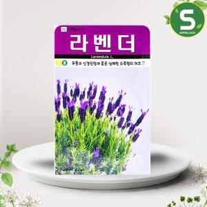 화분월드  허브  라벤더 씨앗  100립
