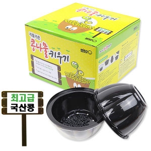 콩나물키우기 키트 콩나물재배기 새싹 기르기 자연관찰 식물 학습_이미지