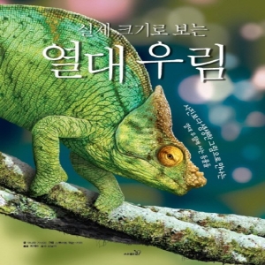 사파리 실제 크기로 보는 열대 우림 사진보다 생생한 그림으로 만나는 열대 우림에 사는 동물들