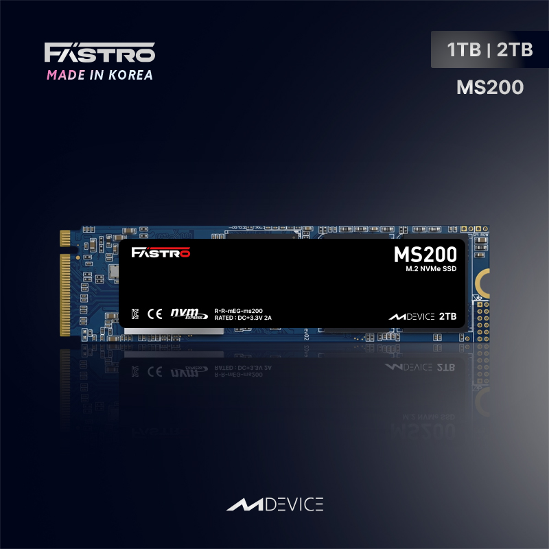 FASTRO MS200 M.2 NVMe (1TB)_이미지