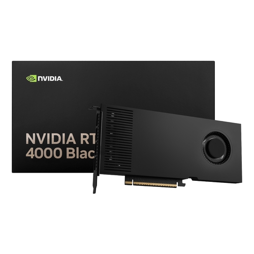 NVIDIA RTX PRO 4000 Blackwell D7 24GB ����