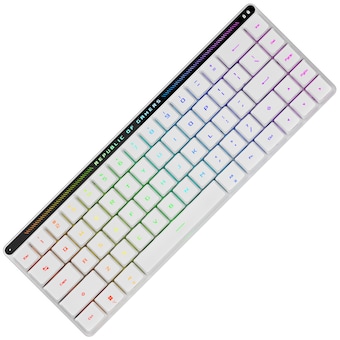 <b>ASUS</b> ROG FALCHION RX Low Profile 유무선 기계식 영문