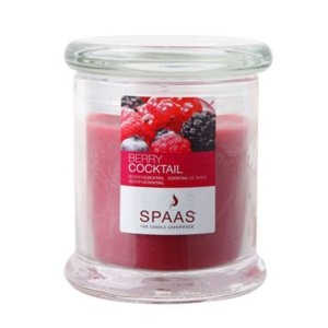 하우스홀드 병향초