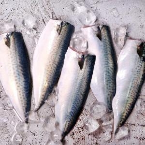 비비수산  국내산 순살 고등어 80~100g