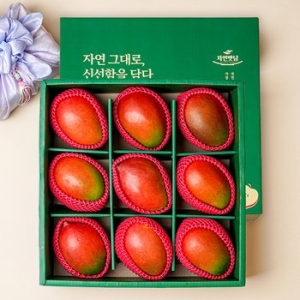 자연맛남 정성 애플망고 과일 선물세트 9수 (1개)_이미지