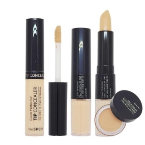 한국화장품 더샘 커버 퍼펙트 팁 컨실러