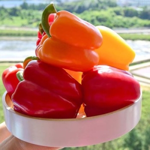 자연맛남 맛있는 파프리카 1kg 가정용_이미지