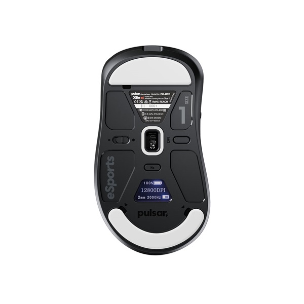 Pulsar Xlite v4 eS �̵�� ����