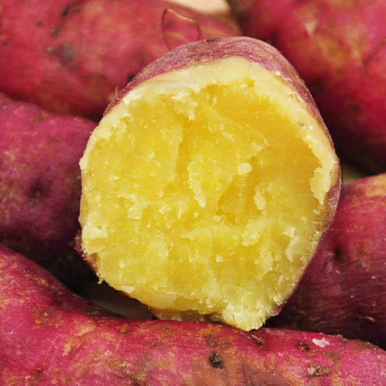 조이야드 해남 유종식님의 꿀고구마 특상 5kg (1개)