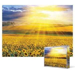해바라기 들판 500피스 퍼즐 직소퍼즐