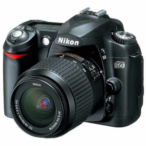 니콘 D50