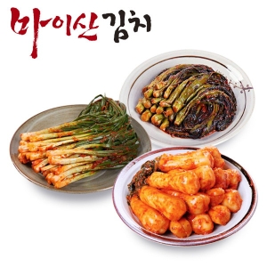  한국농협김치 마이산김치 3종10호 갓김치1kg/파김치1kg/총각김치1kg