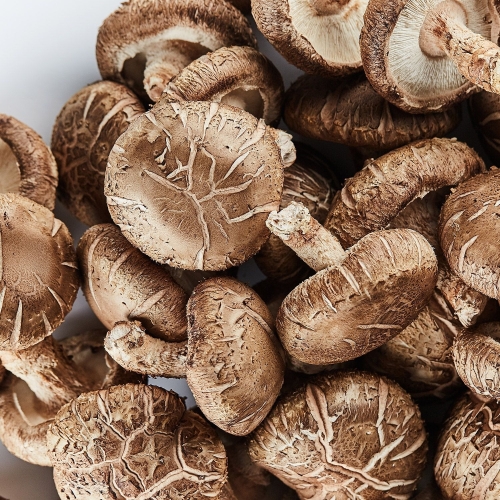 감동 국내산 생표고버섯 못난이 1kg