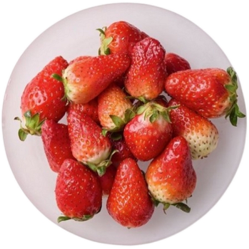 인정에프앤비 논산 잼 주스용 딸기 1kg (1개)
