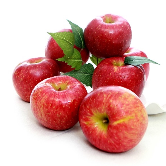 ��ǰ �� �̹���