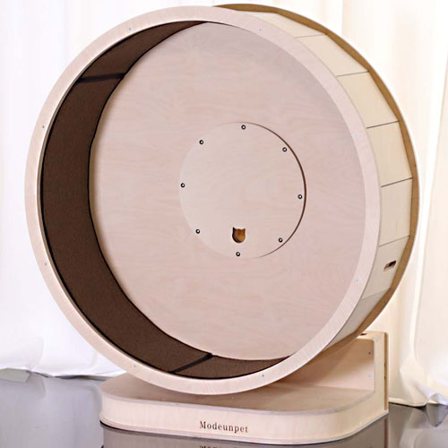 모든펫 룰루캣휠 900_이미지