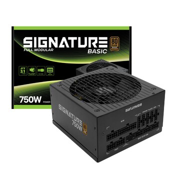 AONE 시그니처 <b>750W</b> 80PLUS브론즈 풀모듈러 베이직 ATX3.1
