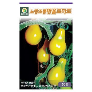 다농 노랑조롱방울토마토<b>씨앗</b> 50립