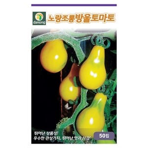 다농 노랑조롱방울토마토<b>씨앗</b> 50립