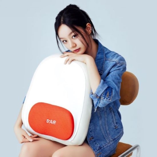 스파알 포터블 허리 마사지기