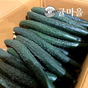 귤마을 가정용 가시<b>오이</b> 2kg