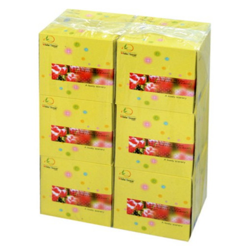 하얀티슈 정사미용티슈 70매 (6입)