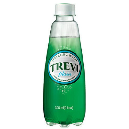 롯데칠성음료 트레비 플레인 300ml (10개)