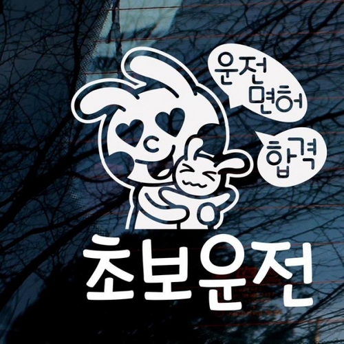 운전면허 합격 초보운전 스티커 LSC-495