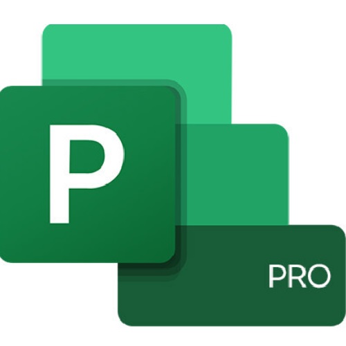 Microsoft Project Professional LTSC 2024 (라이선스)