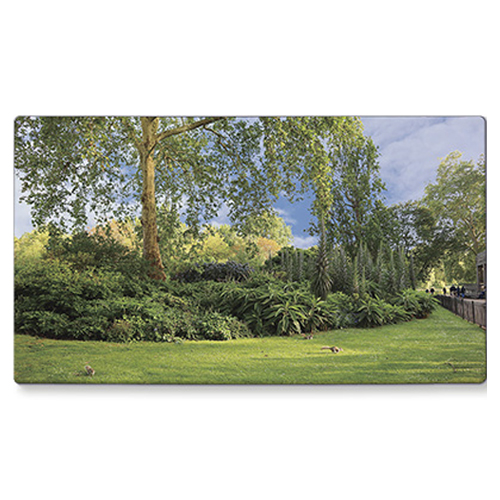 St. James's Park #2 데스크매트