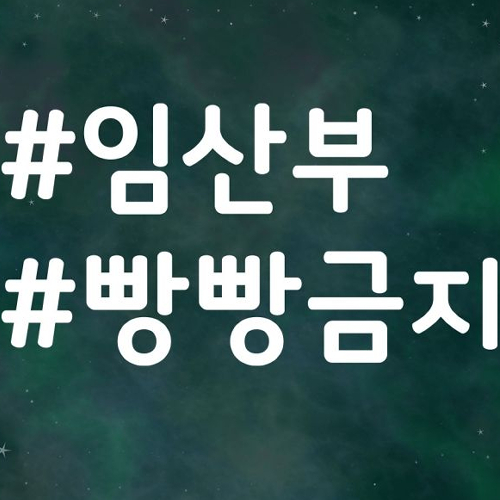스튜디오치치카포 리틀메테오 자동차 스티커 해시태그 임산부 빵빵