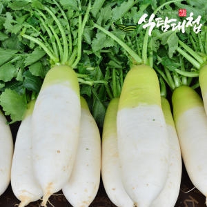식탐대첩 국내산 무 3~5개 5kg (1개)