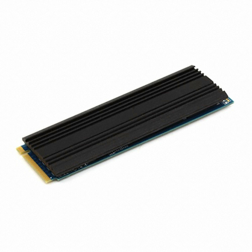 ��ī�̵���Ż SKY SPEEDSTAR M.2 NVMe ��ũ