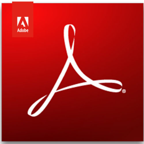 Adobe Acrobat 2020 Professional 공공용 (라이선스)_이미지