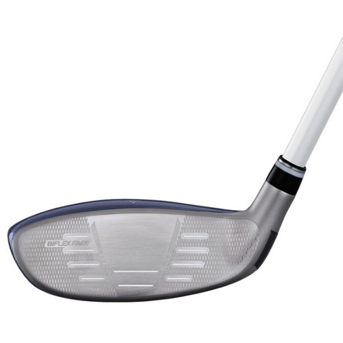 ���� ���ÿ� 14 ������ ���̺긮��