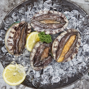완도맘 완도 참전복 7-8미 1kg (1개)_이미지
