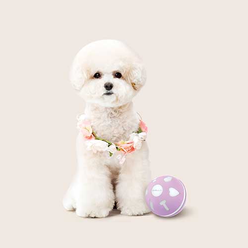 오엘라 ㅤ스마트 펫 자동 롤링볼 PP02_이미지