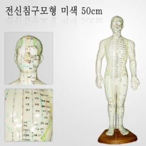 GB 전신 침구모형 50cm이미지입니다. 누르면 해당 게시물로 새창이동합니다.