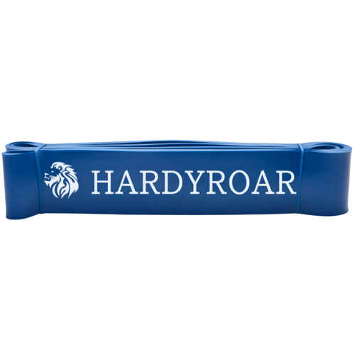 하디로어 라텍스 보조밴드 (3단계, 블루)