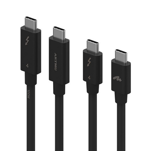 ��Ʈ�� �����Ʈ4 C to CŸ�� 100W ���̺�