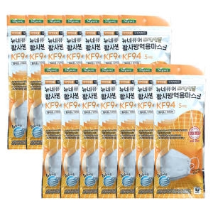 파인텍 뉴네퓨어 황사 방역 마스크 KF94 대형 5매입_14개 70매 -DL (70개)