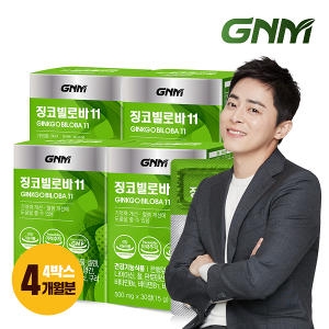 GNM자연의품격 징코빌로바11 500mg 30정 (4개)_이미지