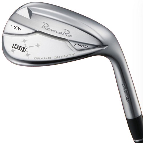 �θ��� RAY SX-PRO ũ�� ����