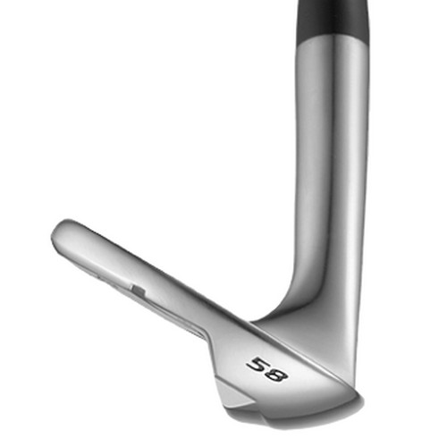 �θ��� RAY SX-PRO ũ�� ����