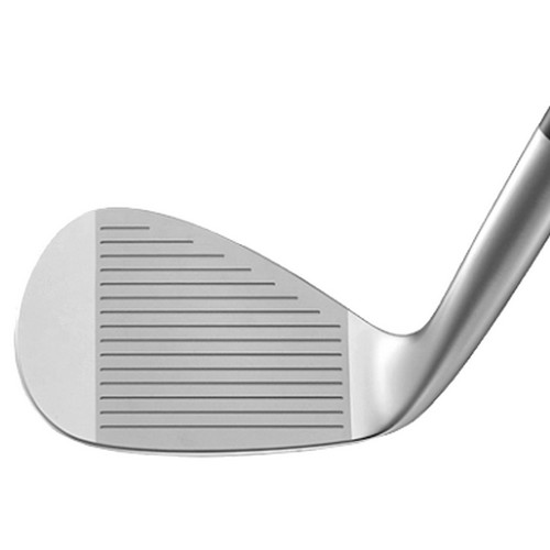 �θ��� RAY SX-PRO ũ�� ����