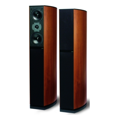 �߸� Concert D5 D590